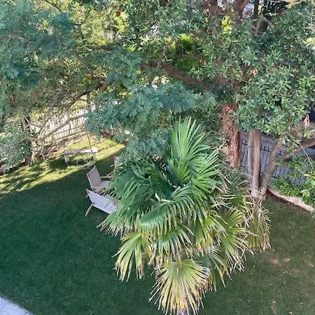 Delle Palme Lido di Venezia